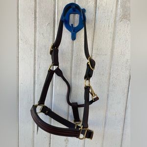 1” Leather Halter yearling size